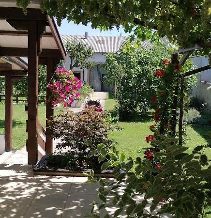 Ferienwohnung Maks Und Kris Sankt Andrä bei Frauenkirchen المظهر الخارجي الصورة